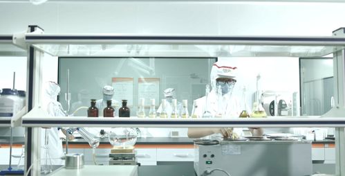 凍干餅干方便食品一站式代加工供求信息及商務(wù)咨詢服務(wù)