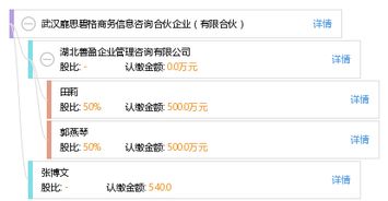 解析武漢靡思碧格商務信息咨詢合伙企業(yè) 有限合伙模式下的專業(yè)咨詢服務